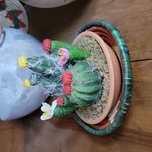 Cactus statue for CO